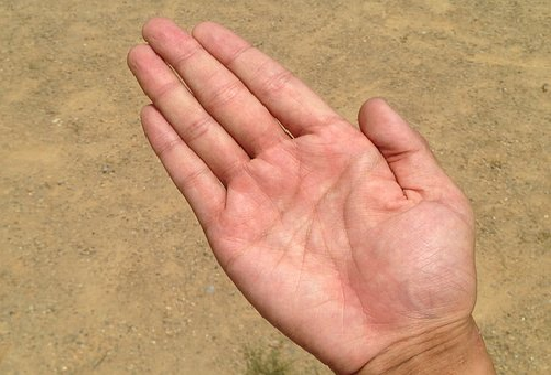 スピリチュアル 手相 十字